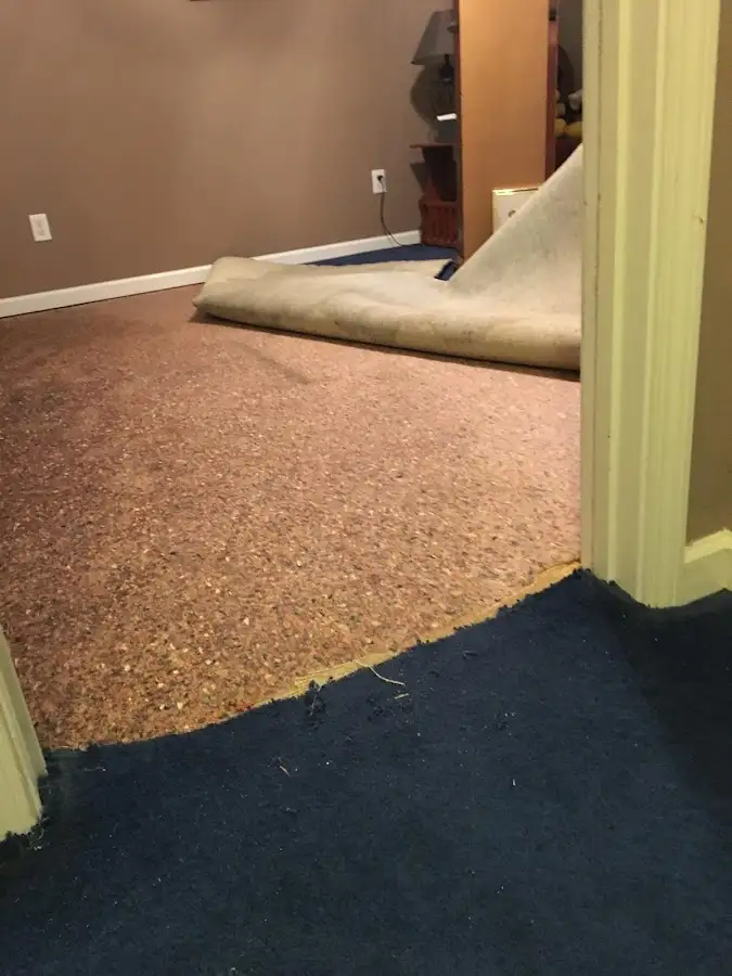 Carpet pad removal revealing water damage during Drying & Dehumidification in Broadview