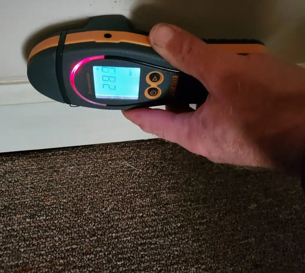 Moisture detection at baseboard during Mold Inspection & Testing in Broadview